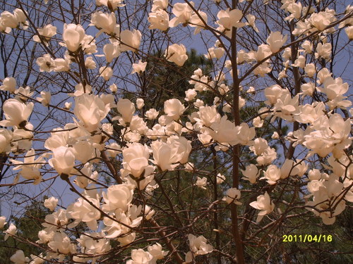 hyh9602's profile picture. 