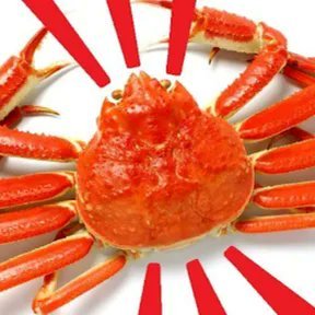 愛国検定9段の猛者。#参政党 #日本保守党 #日本第一党 等の保守派の政党を応援しています。在日だらけの政治家、腐り切った警察、検察、司法の浄化を!多文化共生は不可能です。日本を愛する日本人が団結し、反日組織や隣国人どもを日本からすべて追い出しましょう。