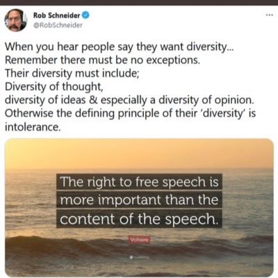 not a strike!, liberalism is a mental disorder! Give Elon a chance!