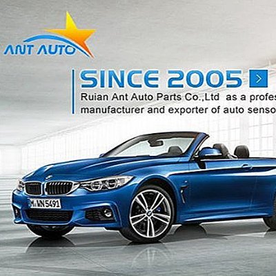 ANT AUTO