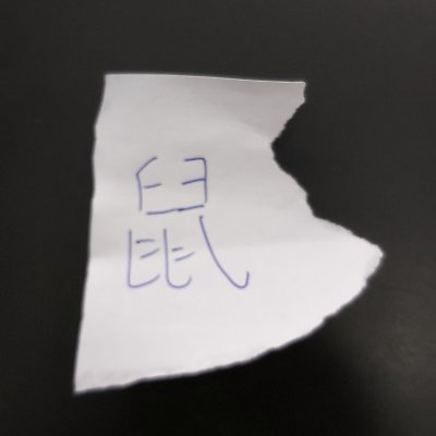 L82A21994's profile picture. 當你在凝視倉鼠，倉鼠也在凝視著你。
When you look long into a hamster, the hamster looks into you.
