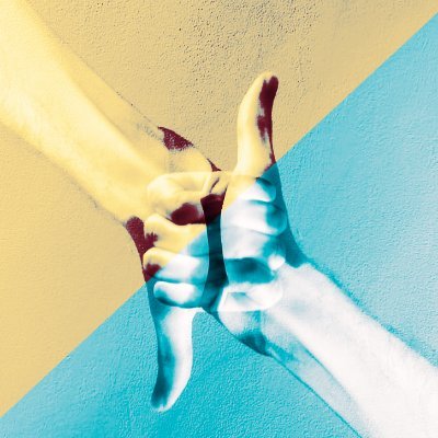 dariomsalcedo's profile picture. Peregrino sin sandalias.