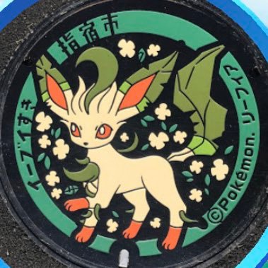 ポケカ・ユナイトやらゲーム用！読み方はりーふぃーです(๑˃̵ᴗ˂̵)っポケモン世代💫