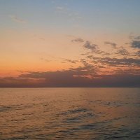 Esmer (@esmer08837560) 's Twitter Profile Photo