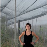 Carme Farnell Barqué (@meteofarnell) 's Twitter Profile