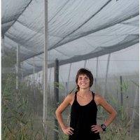 Carme Farnell(@meteofarnell) 's Twitter Profile Photo