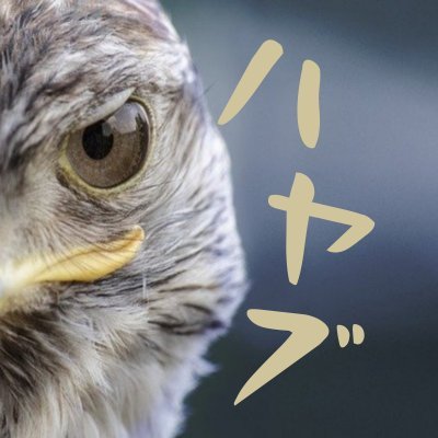 資産500万でFIREしたリタイア系配信者┃YouTubeメインチャンネル【https://t.co/1oKElWFeBG】┃YouTubeサブチャンネル【https://t.co/6S5B9jPhlw】┃note【https://t.co/i8mZGEm9b4】┃相談依頼はDMか YouTubeフォーム┃チャンネル登録よろしく!