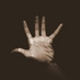 Kwasi Adu (@quasiadu) Twitter profile photo Kwasi Adu (@quasiadu) Twitter profile photo