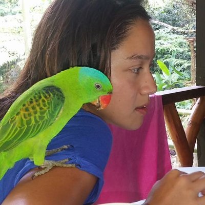 Marine ecologist (🇫🇷 ,🇵🇭 ) | Sustainable coastal restoration | Mangroves and communities