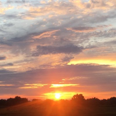 ほぼ同じ場所からの夕空を載せてます🌇🌅様々な表情を見せる空を是非！少しでもみなさまの癒しになれれば幸いです。