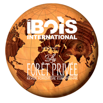 BOIS INTERNATIONAL