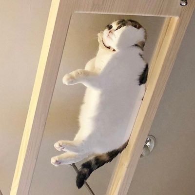 Ckam_Ckam's profile picture. 