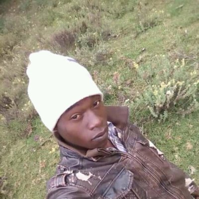 TingosK's profile picture. 