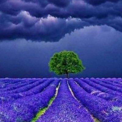 استغفر الله سبحان الله الله اكبر الحمدالله لااله الا الله ..... ماجستير في تطوير الموارد البشرية والعمليات ( وزارة الصحه )