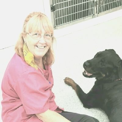 susiewrong's profile picture. Experienced in companion & mixed practice. Family lady branching out with chicks flying the nest ! 😊🐈💜