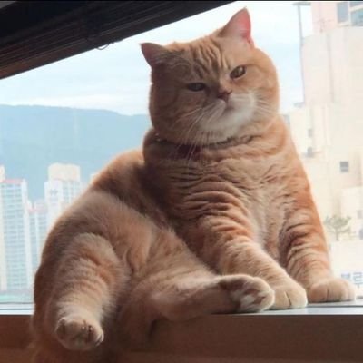 AiniWul06455434's profile picture. ~ain💕