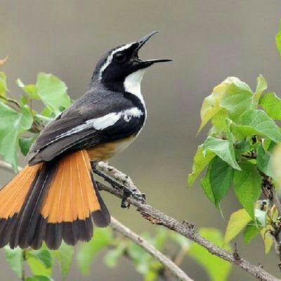 hamdan_home's profile picture. إنا مِن سُلَالَةٍ مِّن طِين،ثُمَّ نُطْفَةً، ثُمَّ عَلَقَةً،ثُمَّ مُضْغَةً مع  عِظَام و لَحْمً ثُمَّ أنسانا ًً ثُمَّ  هالك