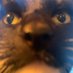 Tom LF 🍉 (@anarchopronoun) Twitter profile photo