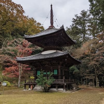 北海道と台湾が好きです。 台湾に初の一人旅をしてきました。 台湾の人の親切なところにいろいろ助けられました。 感謝です。また、出逢いもなかなかないので、仲良くなってくれたら嬉しいです。 旅行、乗り物やカフェとかが好きです。多趣味です。