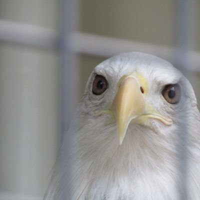 北海道の南の方で暮らしてます。
最近また写真を撮り始めました。
風景や動物の写真が好きです。
見てくれた人が、ホッとするような
写真が撮れたらいいなぁと思っています。
写真の感想などいただけたら嬉しいです。