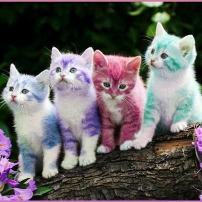 Joni15424896's profile picture. 