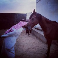 جلجلة جووووهم (@aammss121) 's Twitter Profile Photo