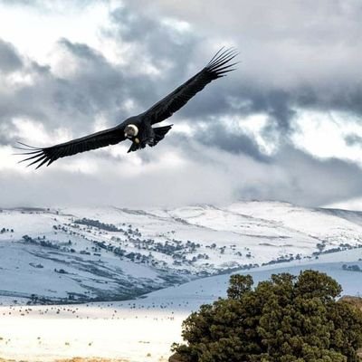 Gus64470666's profile picture. 