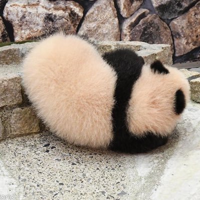 uBhFqIC4hJkdR14's profile picture. 社労士試験R5年成し遂げました。長かったー笑|最後は社労士24|年アド3級|簿記3級|秘書検定2級|小さな医療法人の事務職|🏃🏻‍♀️目指せサブ4|🏌️‍♀️目指せ100|FPと簿記2級勉強中|事務指定修了|開業準備の準備中！