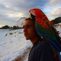 Recep Tiftik (@zincirlemepedal) 's Twitter Profile