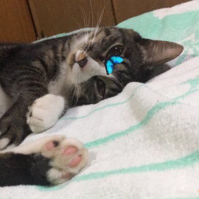 唯さんのプロフィール画像