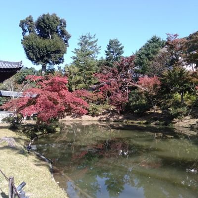 X0haD15YAAurtDB's profile picture. 