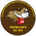 USF Fighting Saints (@USFSaints) Twitter profile photo