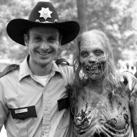 • the walking dead • (@twdcitou) 's Twitter Profile