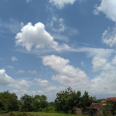 haustronot's profile picture. 