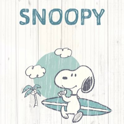 そるてぃーぬ【アカウント移行します】さんのプロフィール画像