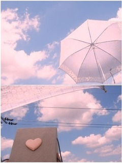 mushroomta's profile picture. 하고싶은말 하기