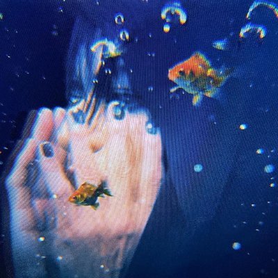 BUCK-TICK/the GazettE/실리카겔/FISHTANKER🐟