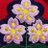 Occhi4169のTwitterプロフィール画像
