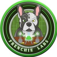 🧬Frenchie LABS🧪(@FrenchieLabs) 's Twitter Profile Photo