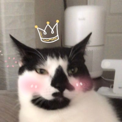 littlebanyan's profile picture. Hello! Welcome to my doodle feed