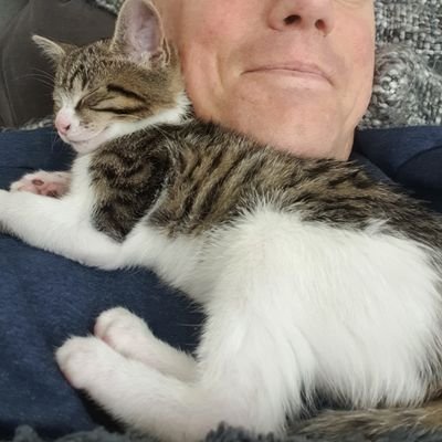 Brokendave2TL's profile picture. 