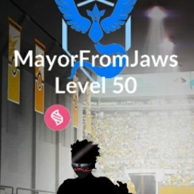 MayorFromJaws TL 50 Profile