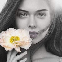 زينه الهمس (@utw1bikfdqdbpae) 's Twitter Profile