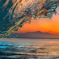 Bridget maseko (@brimaseko) 's Twitter Profile