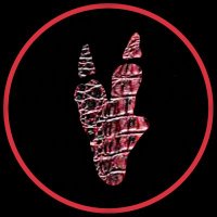Raptonaut (@raptonaut) 's Twitter Profile
