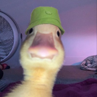 Bomba_Duck Profile Picture