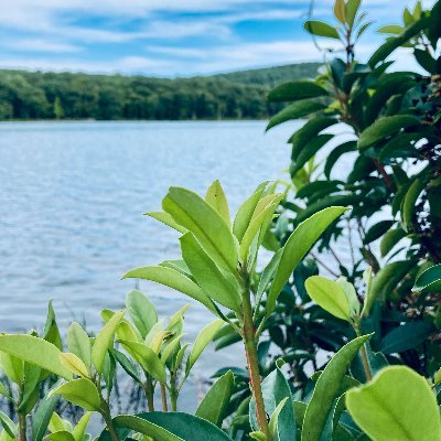 TheSteveZhou's profile picture. 