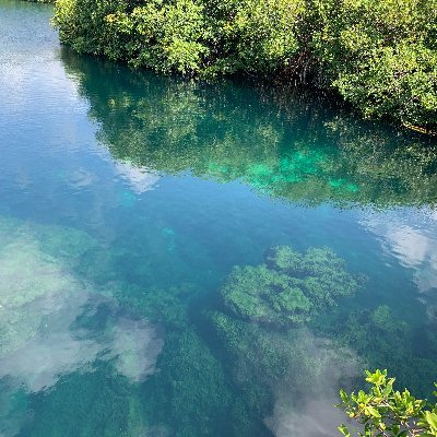 projectuplift77's profile picture. Living from the heart.