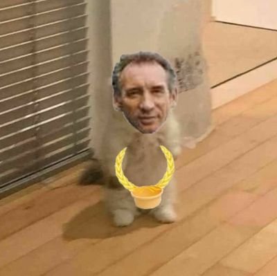 Empereur de Narine, Empire de l'extrême Nudisme et Leader du PNEC, je suis l'immense prophete de notre dieu suprême, François Bayrou.