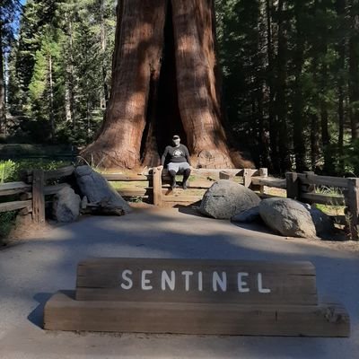 SeeSa_95's profile picture. This is an good bagel, because it's a doughnut.